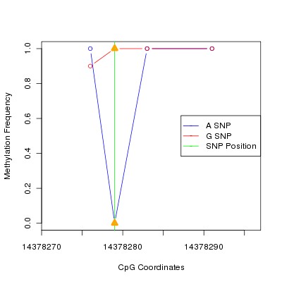 Allele Specific Methylation Frequency Diagram for chr21 14378279 SNP.