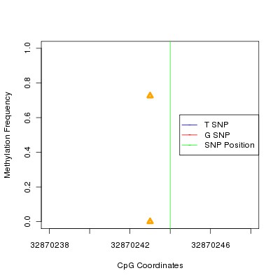 Allele Specific Methylation Frequency Diagram for chr21 32870244 SNP.