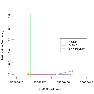 Allele Specific Methylation Frequency Diagram for chr21 33066416 SNP.