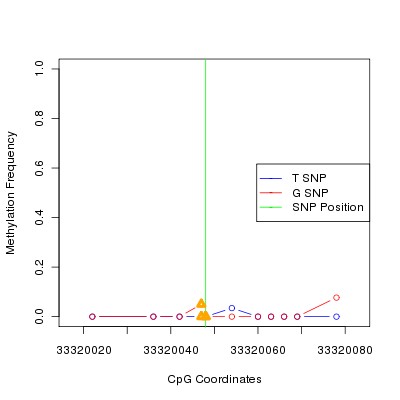 Allele Specific Methylation Frequency Diagram for chr21 33320048 SNP.