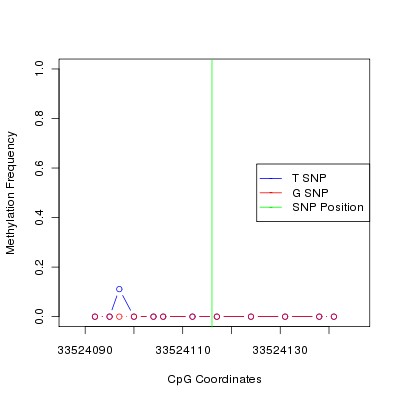 Allele Specific Methylation Frequency Diagram for chr21 33524116 SNP.