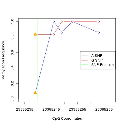 Allele Specific Methylation Frequency Diagram for chr22 23385240 SNP.