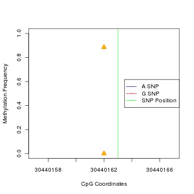 Allele Specific Methylation Frequency Diagram for chr22 30440163 SNP.