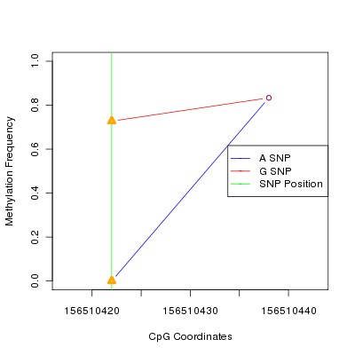 Allele Specific Methylation Frequency Diagram for chr3 156510422 SNP.