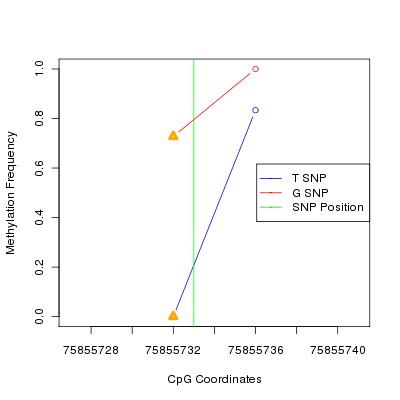 Allele Specific Methylation Frequency Diagram for chr3 75855733 SNP.