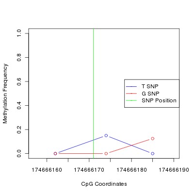 Allele Specific Methylation Frequency Diagram for chr4 174666171 SNP.