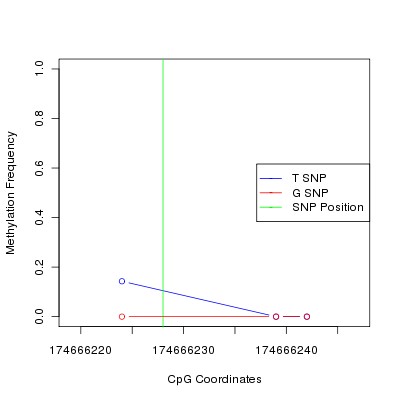 Allele Specific Methylation Frequency Diagram for chr4 174666228 SNP.