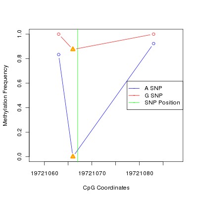 Allele Specific Methylation Frequency Diagram for chr6 19721067 SNP.