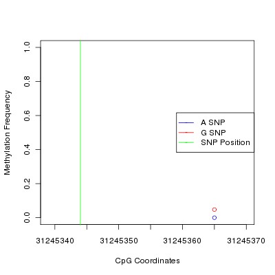 Allele Specific Methylation Frequency Diagram for chr6 31245344 SNP.