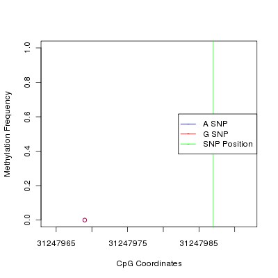 Allele Specific Methylation Frequency Diagram for chr6 31247987 SNP.