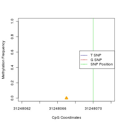 Allele Specific Methylation Frequency Diagram for chr6 31248070 SNP.
