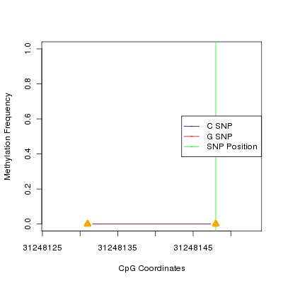 Allele Specific Methylation Frequency Diagram for chr6 31248148 SNP.