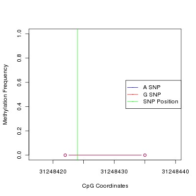 Allele Specific Methylation Frequency Diagram for chr6 31248424 SNP.