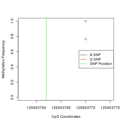 Allele Specific Methylation Frequency Diagram for chr7 125653762 SNP.