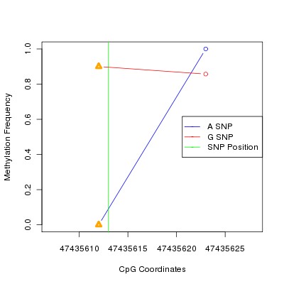 Allele Specific Methylation Frequency Diagram for chr8 47435613 SNP.