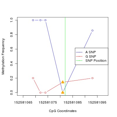 Allele Specific Methylation Frequency Diagram for chrX 152581082 SNP.