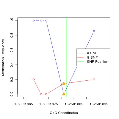 Allele Specific Methylation Frequency Diagram for chrX 152581082 SNP.