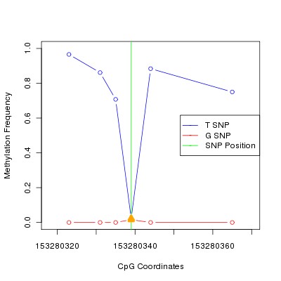 Allele Specific Methylation Frequency Diagram for chrX 153280339 SNP.