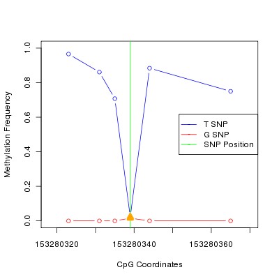 Allele Specific Methylation Frequency Diagram for chrX 153280339 SNP.