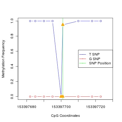 Allele Specific Methylation Frequency Diagram for chrX 153397701 SNP.