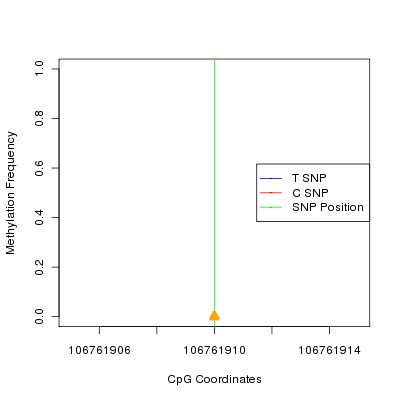 Allele Specific Methylation Frequency Diagram for chr12 106761910 SNP.