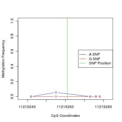Allele Specific Methylation Frequency Diagram for chr12 11215261 SNP.