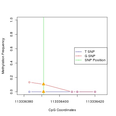 Allele Specific Methylation Frequency Diagram for chr12 113336391 SNP.
