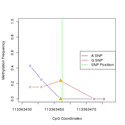 Allele Specific Methylation Frequency Diagram for chr12 113363455 SNP.