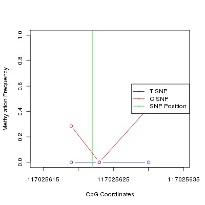 Allele Specific Methylation Frequency Diagram for chr12 117025622 SNP.