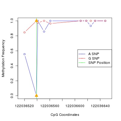 Allele Specific Methylation Frequency Diagram for chr12 122036539 SNP.