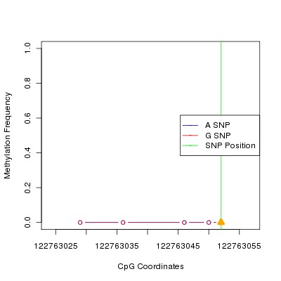 Allele Specific Methylation Frequency Diagram for chr12 122763052 SNP.