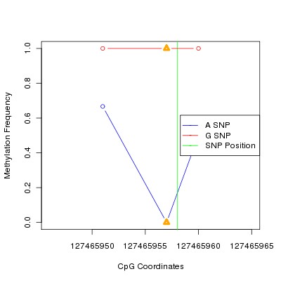 Allele Specific Methylation Frequency Diagram for chr12 127465958 SNP.