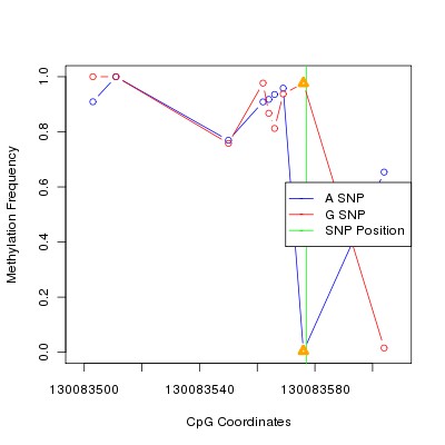 Allele Specific Methylation Frequency Diagram for chr12 130083577 SNP.
