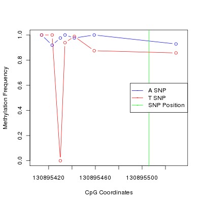 Allele Specific Methylation Frequency Diagram for chr12 130895506 SNP.