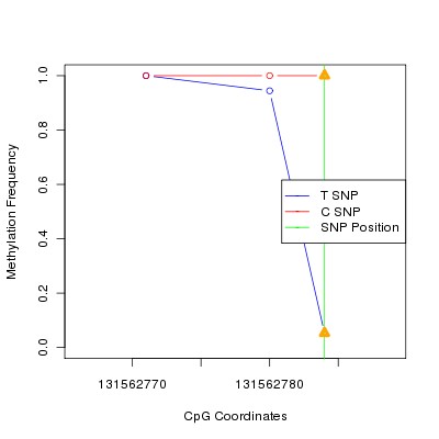 Allele Specific Methylation Frequency Diagram for chr12 131562784 SNP.