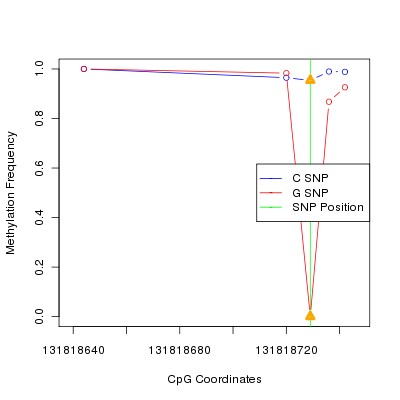 Allele Specific Methylation Frequency Diagram for chr12 131818729 SNP.