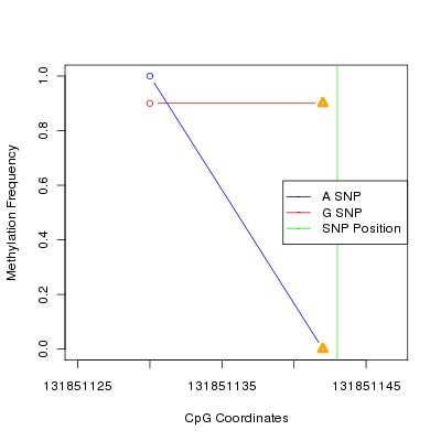 Allele Specific Methylation Frequency Diagram for chr12 131851143 SNP.