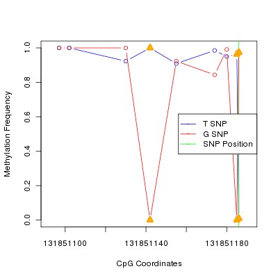 Allele Specific Methylation Frequency Diagram for chr12 131851186 SNP.