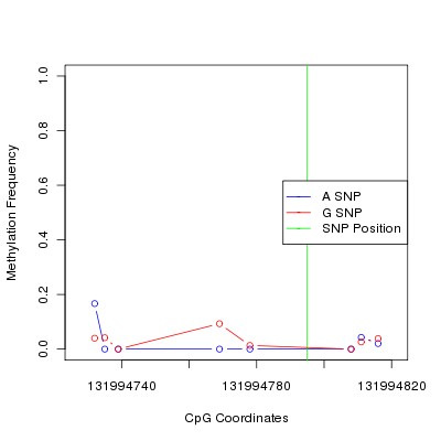 Allele Specific Methylation Frequency Diagram for chr12 131994795 SNP.