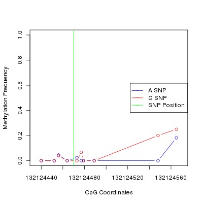 Allele Specific Methylation Frequency Diagram for chr12 132124470 SNP.