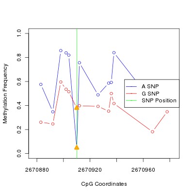 Allele Specific Methylation Frequency Diagram for chr12 2670910 SNP.