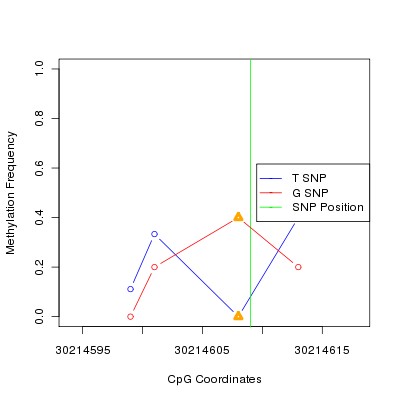 Allele Specific Methylation Frequency Diagram for chr12 30214609 SNP.