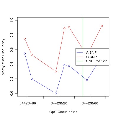 Allele Specific Methylation Frequency Diagram for chr12 34423551 SNP.