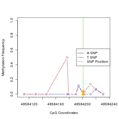 Allele Specific Methylation Frequency Diagram for chr12 48584201 SNP.