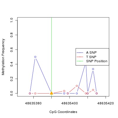 Allele Specific Methylation Frequency Diagram for chr12 48635390 SNP.