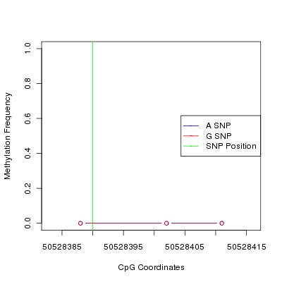 Allele Specific Methylation Frequency Diagram for chr12 50528390 SNP.