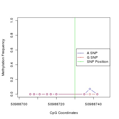 Allele Specific Methylation Frequency Diagram for chr12 50988730 SNP.
