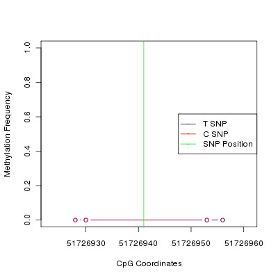 Allele Specific Methylation Frequency Diagram for chr12 51726941 SNP.