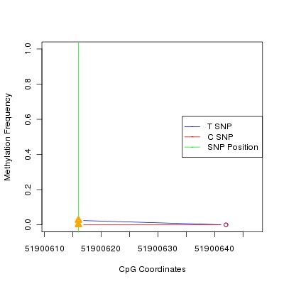Allele Specific Methylation Frequency Diagram for chr12 51900616 SNP.