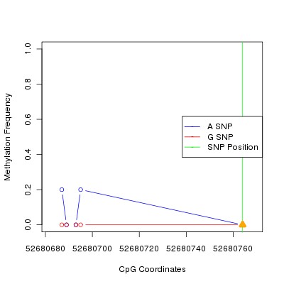 Allele Specific Methylation Frequency Diagram for chr12 52680764 SNP.
